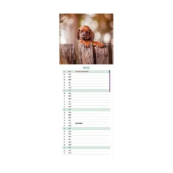 Calendrier Chiots 2026