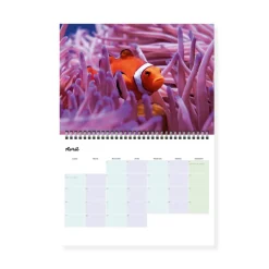 Calendrier photos - Vie sous-marine