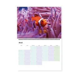 Calendrier photos - Vie sous-marine