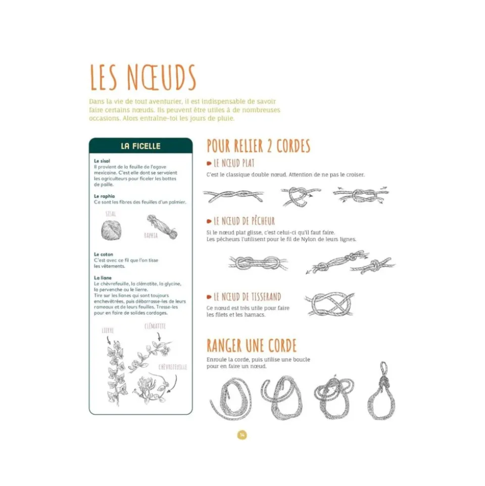 Installe ton camp dans la forêt