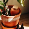 Olla - Diffuseur naturel d'eau pour les plantes