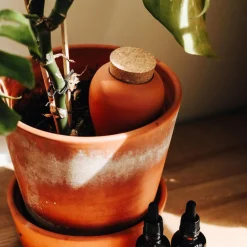 Olla - Diffuseur naturel d'eau pour les plantes