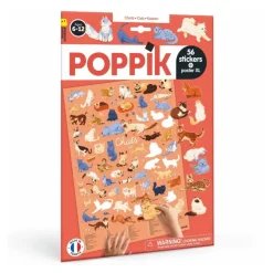 Poster à compléter - Chats