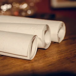 Rouleau de Papier cadeau ensemencé (flyer de noël)