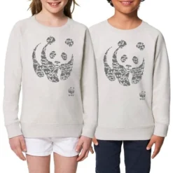 Sweat enfant gris WWF