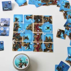 Ziran et les récifs coralliens